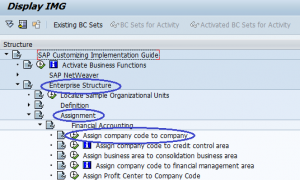 what is assign company code to company in sap