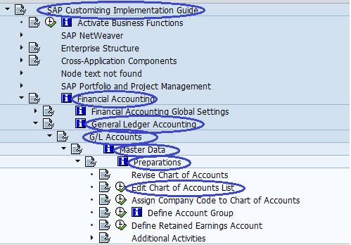 Operating Chart Of Accounts Sap