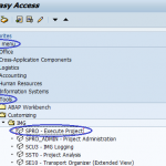 SAP SPRO (SAP Project Reference Object) - IMG Path Transaction Code