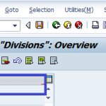 How to Define & Create Division in SAP SD