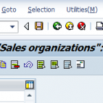 How to Create & Define Sales Organization in SAP SD