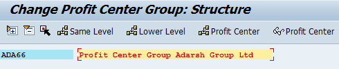sap display profit center group structure