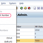 How to Create number ranges for applicant numbers in SAP