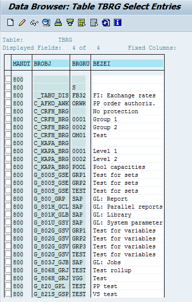 Authorization Groups in SAP TBRG table overview