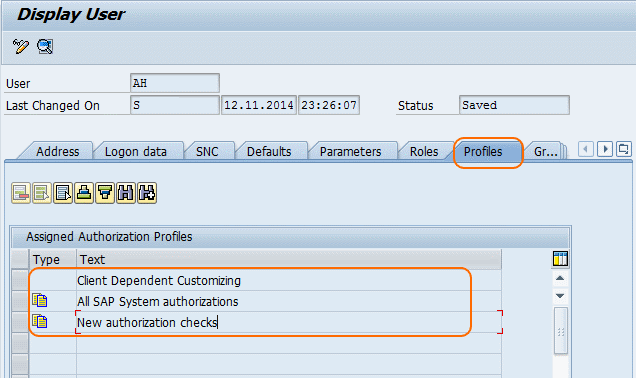 Authorization and Authorization Concepts in SAP