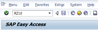 transaction code RZ10