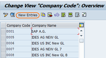 Define New company code in SAP new entries