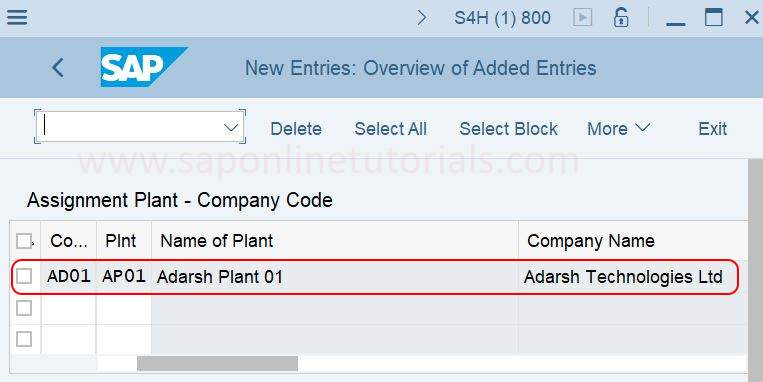 plant to company code assignment